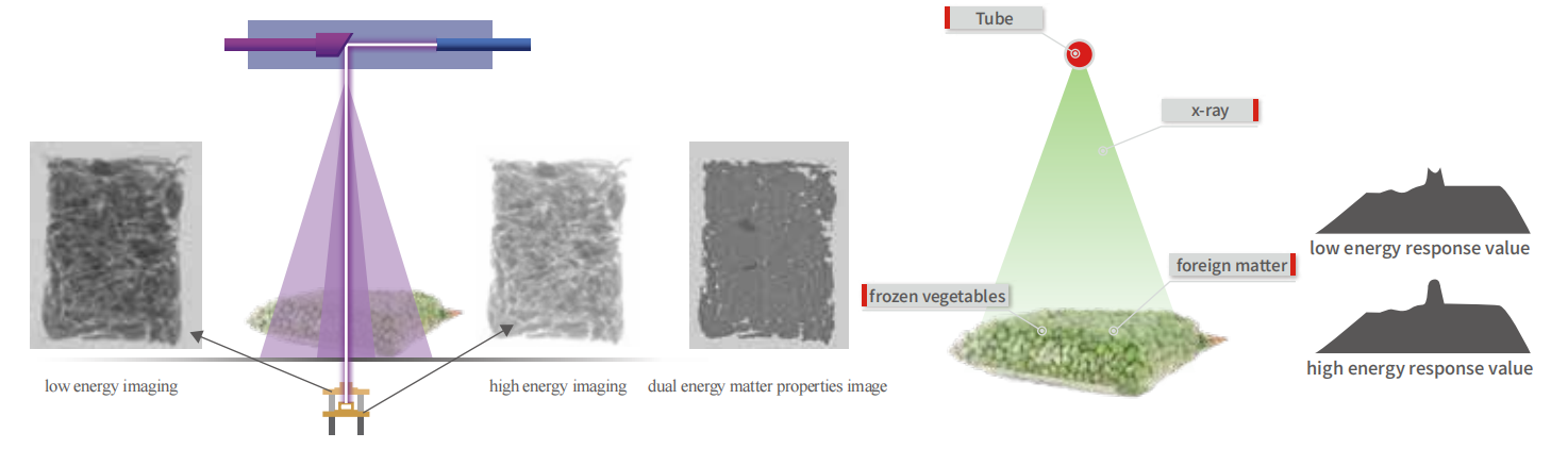 China Dual Energy X-ray Inspection System for Bulk Product factory and ...