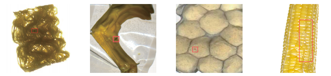 ScreenShot_2025-12-24_135700_035