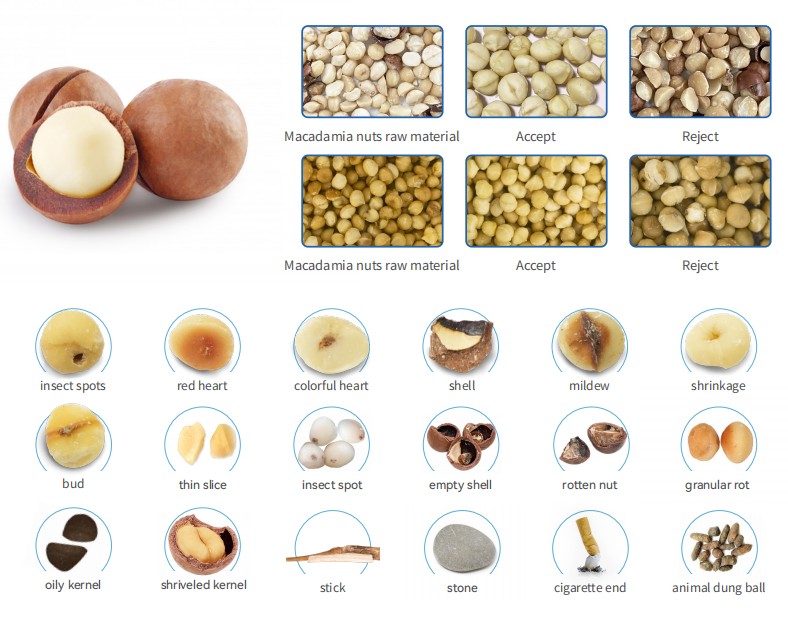 Sorter3