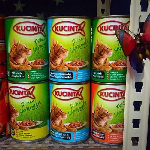 cans food