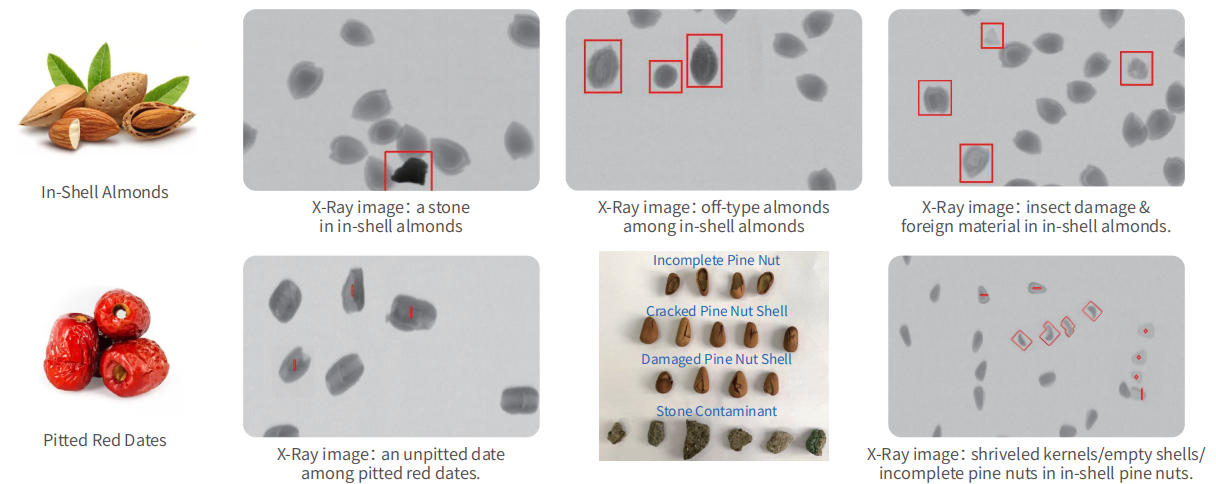 inspection examples